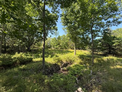 011-032-4 A W Smith Rd, Vinalhaven, ME 04863 - photo 2