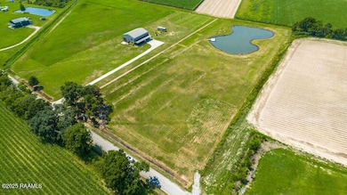 11012 Wilmer Rd, Erath, LA 70533 - photo 2