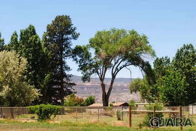 view of the Monument