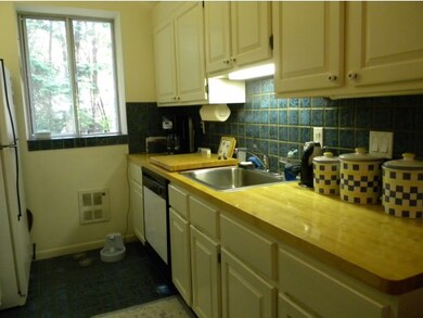 20 Avalanche Way unit 23, Waterville Valley, NH 03215 - photo 5