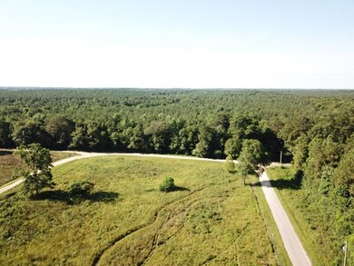 00 Mollie Boutwell Rd, Laurel, MS 39443 - photo 6