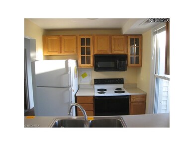 Bright kitchen has rance, refrig, microwave, Dsiih