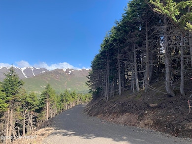 L3 Paine Cir, Anchorage, AK 99516 - photo 3