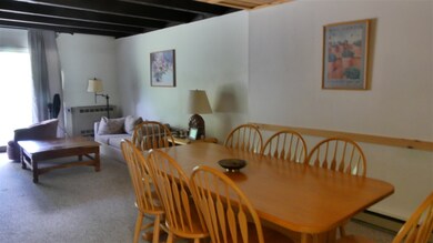 3 Fox Meadow Ln unit 3C, Dover, VT 05356 - photo 3