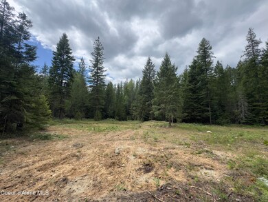 456 Tamarack Ln, Sagle, ID 83860 - photo 2