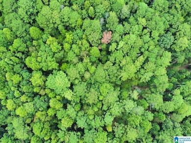 4251 Cedar St unit 1, Irondale, AL 35210 - photo 6