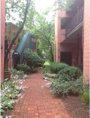 15 Hawley St unit 303, Northampton, MA 01060 - photo 2