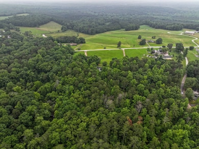 2404 Corinth Poseyville Rd, Bremen, GA 30110 - photo 2