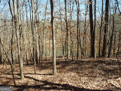 3568 Old Duckett Mill Rd, Gainesville, GA 30506 - photo 5