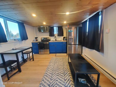 Kitchen Living area