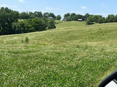 4005 Randolph Rd, Edmonton, KY 42129 - photo 2