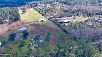 4568 Treebrook Rd, New Smyrna Beach, FL 32168 - photo 3