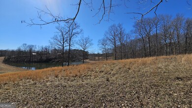 LOT 1 Snote Jones Rd, Dallas, GA 30132 - photo 6