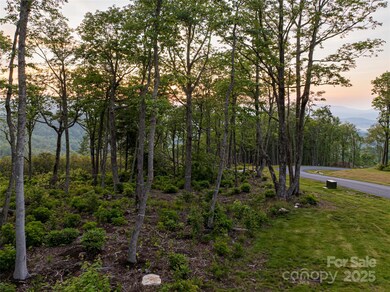 000 E Garden Trail unit 47, Fletcher, NC 28732 - photo 2
