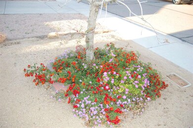 DSC_0012.JPG