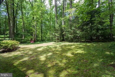 6667 Van Winkle Dr, Falls Church, VA 22044 - photo 4