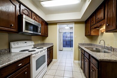 10374 Longmont Dr unit 51, Houston, TX 77042 - photo 5