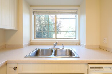 Front Kitchen Window