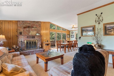 5580 Moosa Rd, Cascade, CO 80809 - photo 6