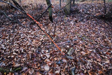 Lot 29 & 30 Staubwoods Dr, Romney, WV 26757 - photo 2