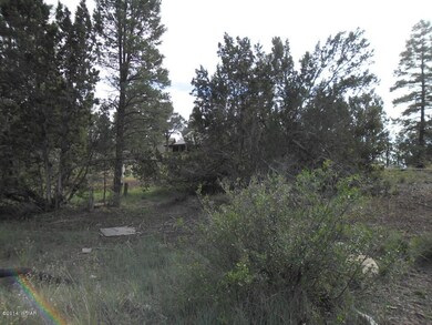 SAM_0466