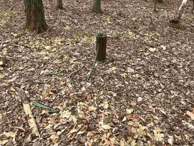 60 Lawrence Hill Rd, Rochester, NY 12404 - photo 7