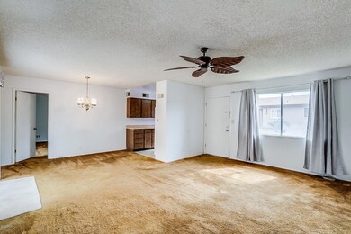 Large living room