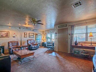 Living Room. Carpet 6 months old