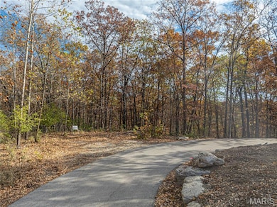 19005 Old Wild Turkey Ln, Wildwood, MO 63069 - photo 2