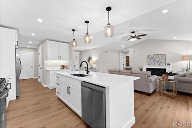 8084 Villa Valley Ln, Caseyville, IL 62232 - photo 4