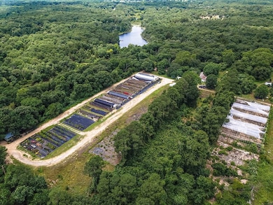 6184 County Road 41515, Athens, TX 75751 - photo 5