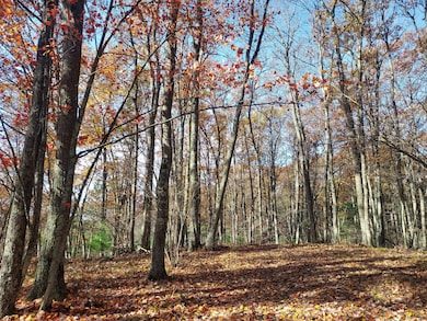 French Rd, Amberg, WI 54156 - photo 3