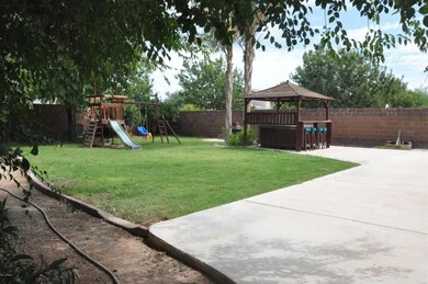 backyard 2