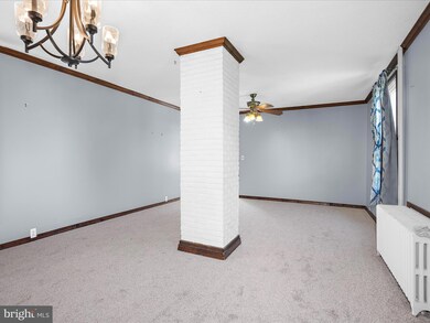 20 Hazel Ave, Halethorpe, MD 21227 - photo 6