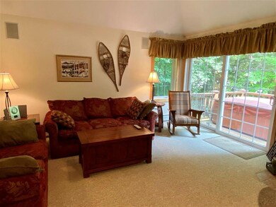 44A Kingswood Rd, Dover, VT 05356 - photo 3