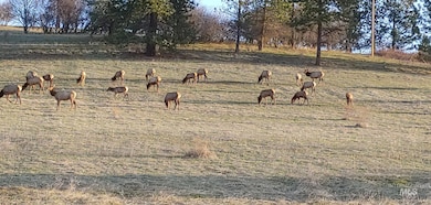 0 Dent Bridge Rd, Orofino, ID 83544 - photo 4