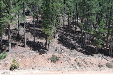View of local wilderness
