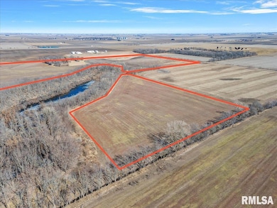 13505 W Long Point Rd, Niantic Township, IL 62551 - photo 5