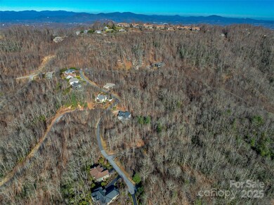 211 Ladys Fern Trail, Laurel Park, NC 28739 - photo 6