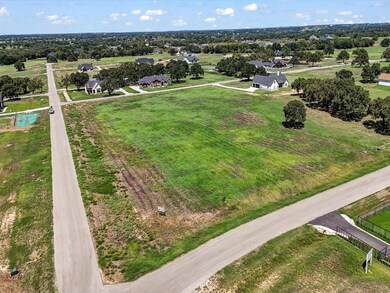 1023 Bluebonnet Ridge, Weatherford, TX 76087 - photo 4