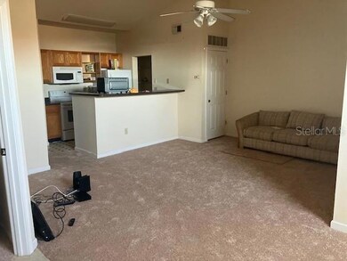 Kitchen / Living Room