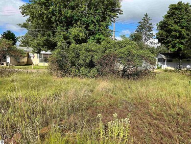 6324 W Pine Point Rd, Grayling Township, MI 49738 - photo 7