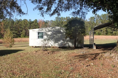 8131 Roosevelt Hwy, Warm Springs, GA 31830 - photo 7