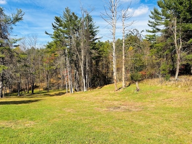 1198 Tower Rd, Galax, VA 24333 - photo 6