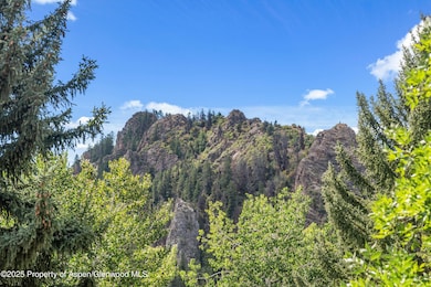 500 W Francis St unit 1, Aspen, CO 81611 - photo 7