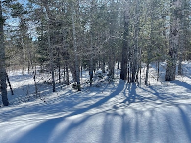 778 New Dunntown Rd, Wade, ME 04786 - photo 3