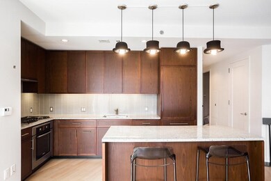 Millenium Place unit 903, Boston, MA 02111 - photo 6