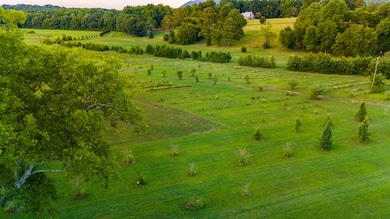DJI_20240712201848_0910