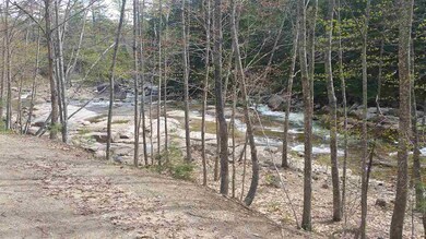 71 Emery, Bartlett, NH 03812 - photo 6