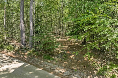 101-125 Winslow Rd, Weare, NH 03281 - photo 4